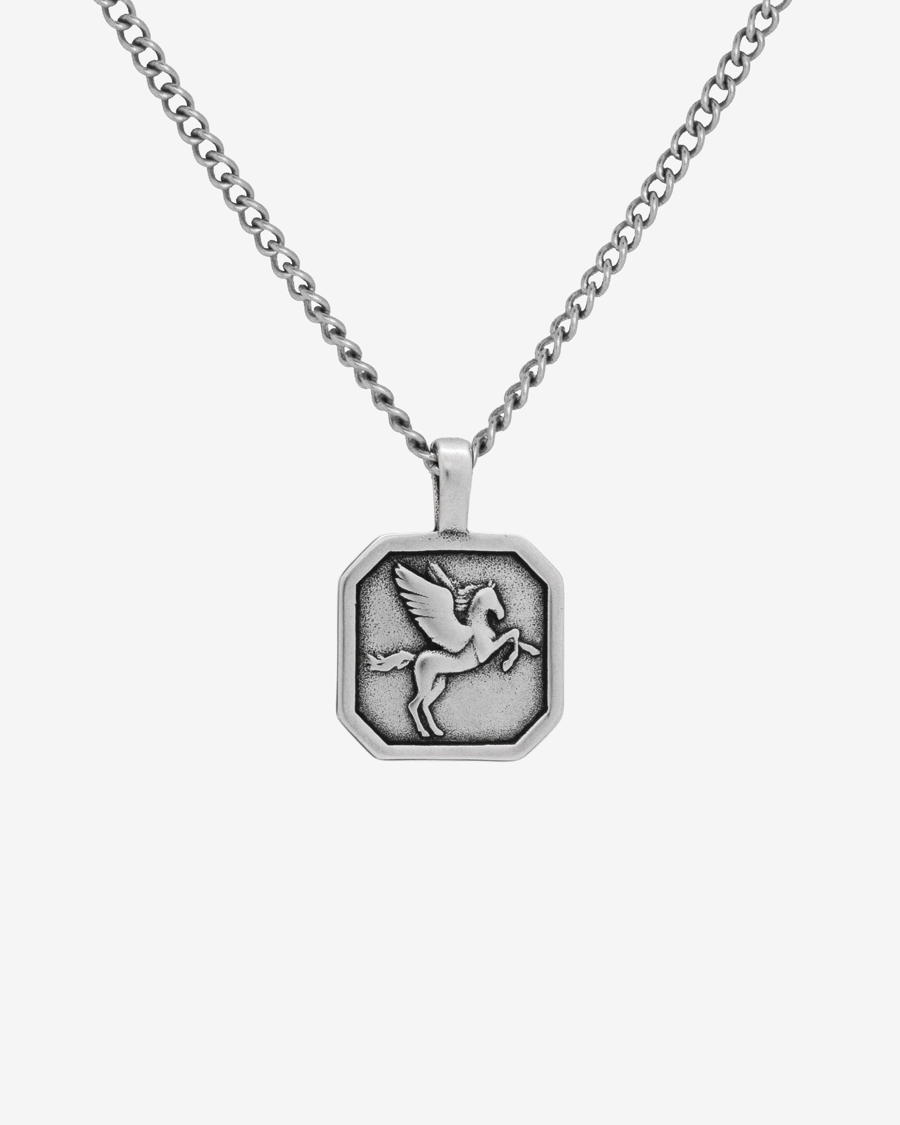 Silver Pegasus necklace with a hexagonal pendant on a plain white background.