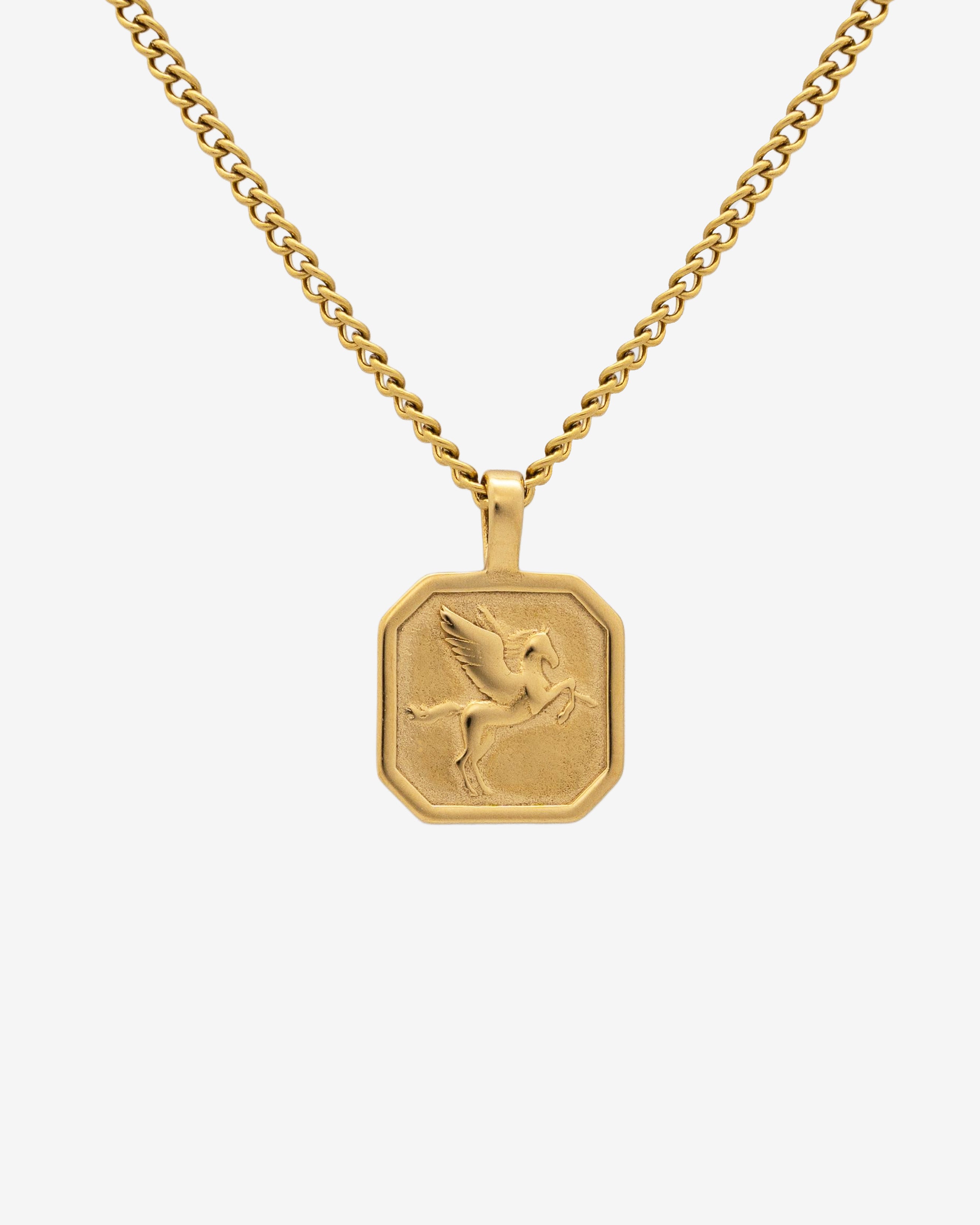 Gold chain necklace with an octagonal pendant featuring a Pegasus relief.